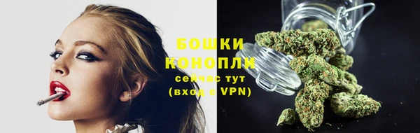 сатива Балахна