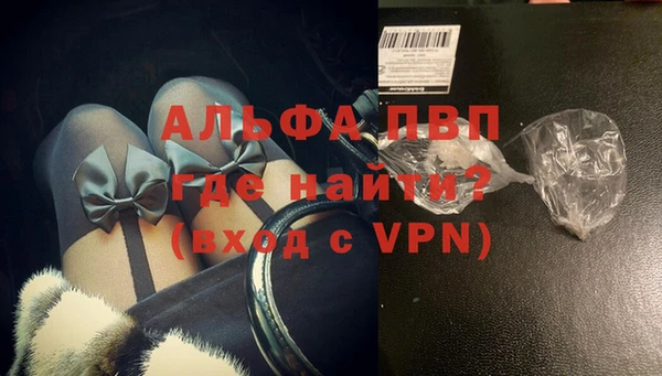 сатива Балахна