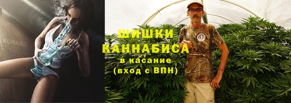 сатива Балахна