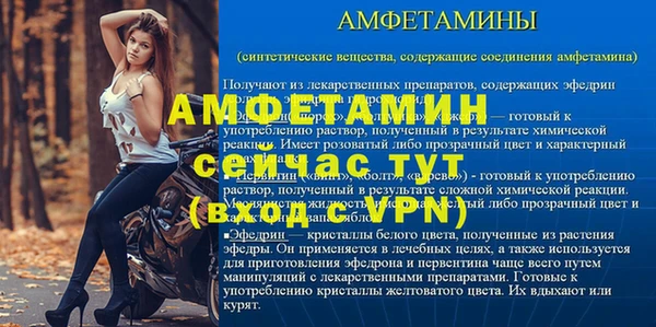 сатива Балахна