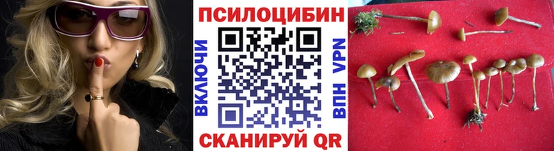 наркотики Вятские Поляны Галлюциногенные грибы GOLDEN TEACHER